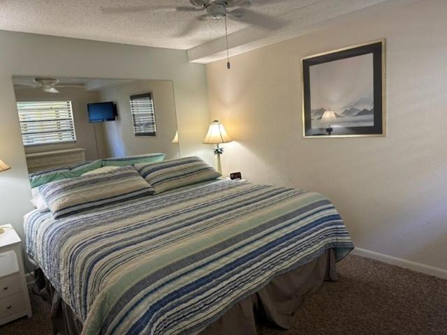 سانت بيتي بيتش Treasure Island Beach Club 727-360-7096 المظهر الخارجي الصورة